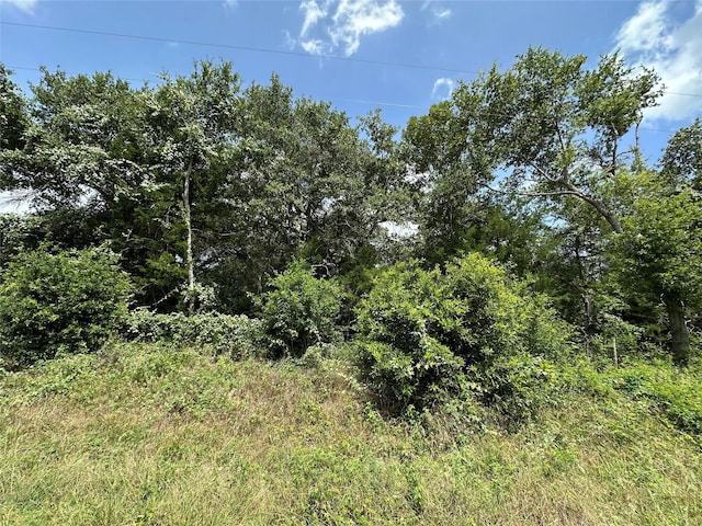 000000 Overlook Rd, Caldwell, TX 77836 - photo 7