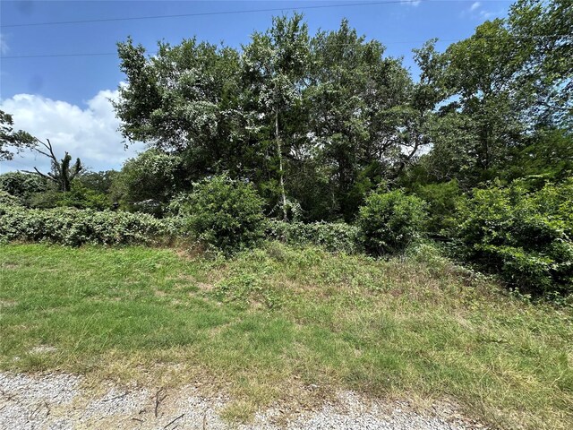 000000 Overlook Rd, Caldwell, TX 77836 - photo 8