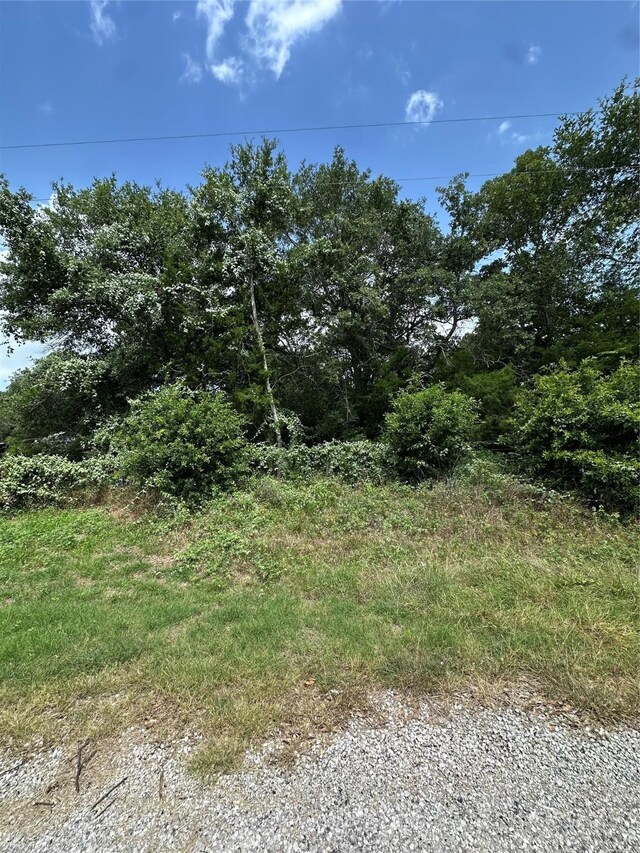 000000 Overlook Rd, Caldwell, TX 77836 - photo 10
