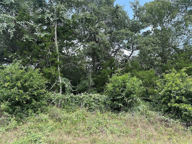 000000 Overlook Rd, Caldwell, TX 77836 - photo 11