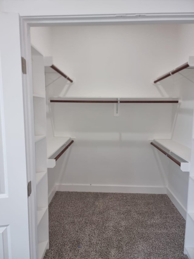 3013 Sparrow St, Houston, TX 77051 - spacious closet featuring carpet