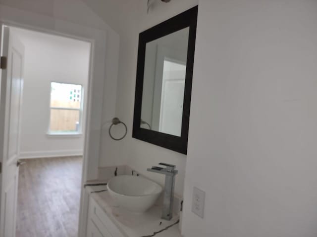 3013 Sparrow St, Houston, TX 77051 - bathroom featuring vanity and wood finished floors