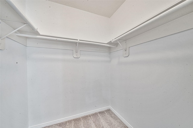 22406 Cascade Springs Dr, Katy, TX 77494 - spacious closet with carpet flooring