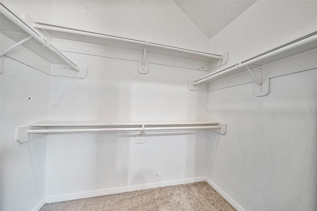 22406 Cascade Springs Dr, Katy, TX 77494 - walk in closet with carpet flooring