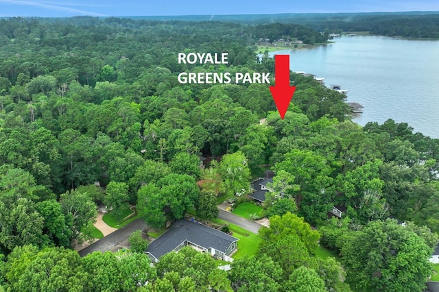 260 N Forest Cove Loop, Coldspring, TX 77331 - photo 40