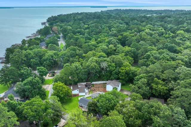 260 N Forest Cove Loop, Coldspring, TX 77331 - photo 42