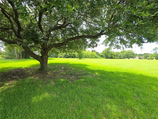 TBD High Crest Dr, Point Blank, TX 77364