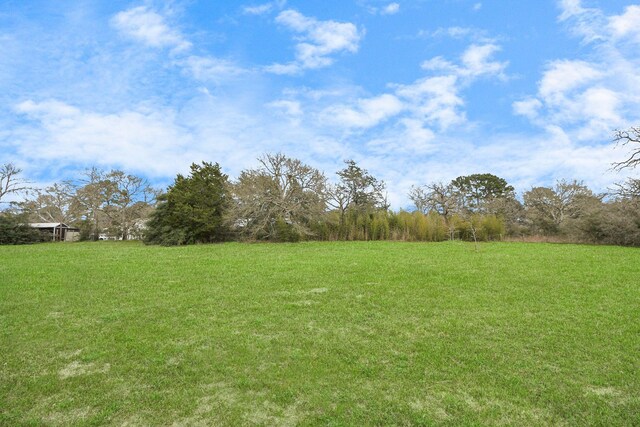 427 Sikes Rd, Bellville, TX 77418 - photo 33