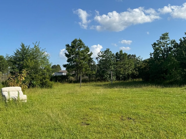 2420 County Road 3542, Cleveland, TX 77327 - photo 21