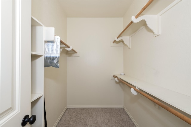 215 Capps Dr, College Station, TX 77845 - spacious closet with carpet
