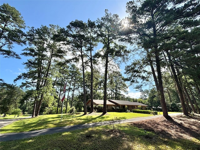 12 Carolyn Dr, Woodville, TX 75979 - photo 1