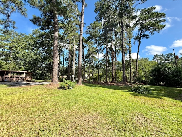 12 Carolyn Dr, Woodville, TX 75979 - photo 44