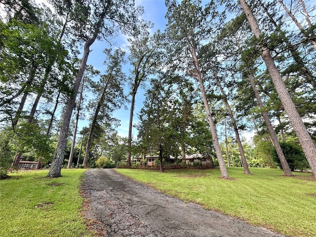12 Carolyn Dr, Woodville, TX 75979 - photo 46