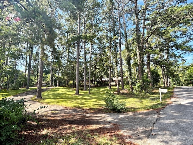 12 Carolyn Dr, Woodville, TX 75979 - photo 47