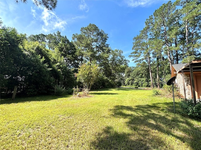12 Carolyn Dr, Woodville, TX 75979 - photo 37