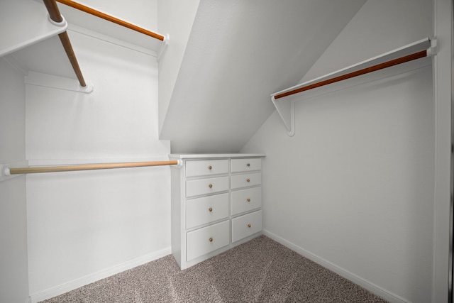 1808 Brookside Dr, Friendswood, TX 77546 - walk in closet featuring carpet and vaulted ceiling