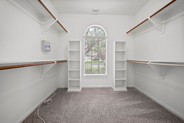 1808 Brookside Dr, Friendswood, TX 77546 - walk in closet featuring carpet floors