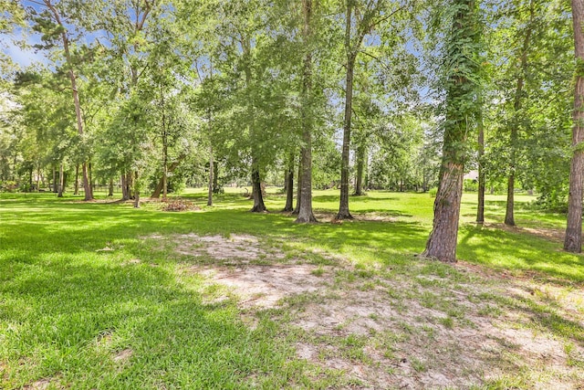 27339 Fairway Crossings Dr, Huffman, TX 77336 - photo 4