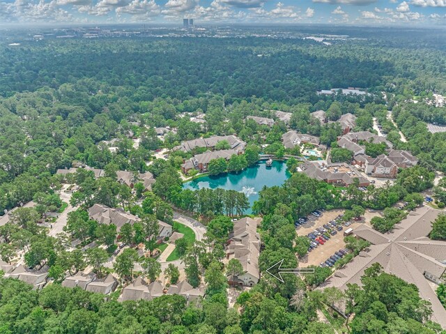 94 S Magnolia Pond Pl, The Woodlands, TX 77381 - photo 32