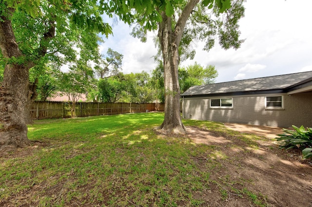 8822 Rowan Ln, Houston, TX 77036 - view of yard