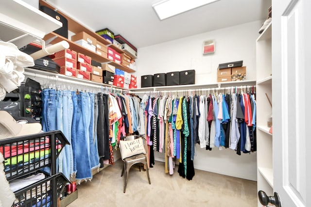 3214 Oak Park Ln, Missouri City, TX 77459 - walk in closet featuring carpet