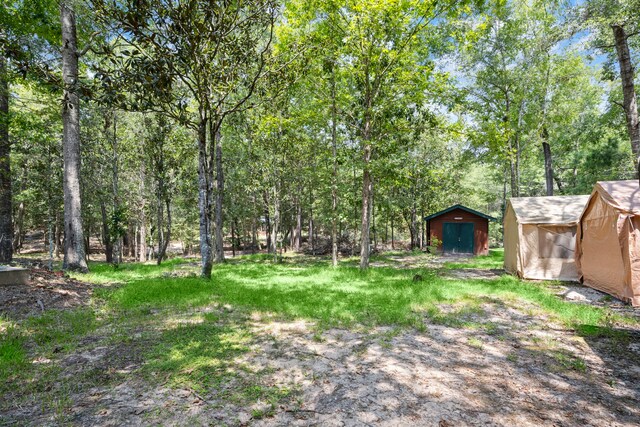 137 Magnolia Bend Dr, Livingston, TX 77351 - photo 4