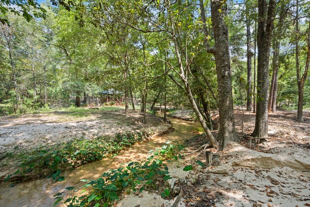 137 Magnolia Bend Dr, Livingston, TX 77351 - photo 7