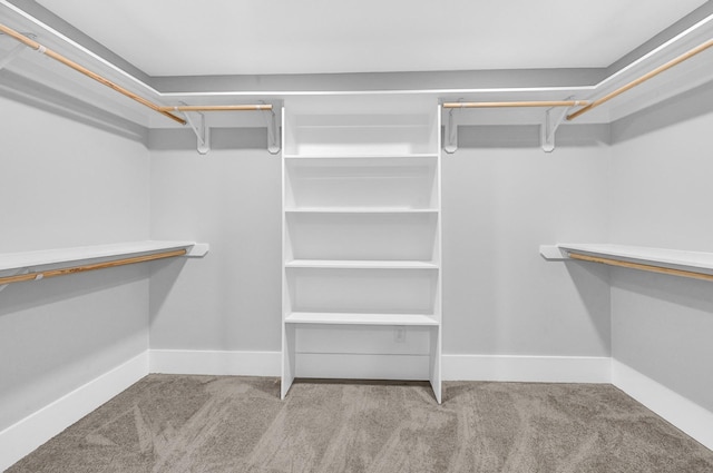 3343 Tampa St, Houston, TX 77021 - spacious closet with carpet
