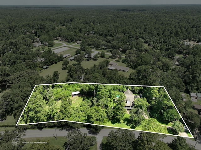 24221 Decker Prairie Rosehill Rd, Magnolia, TX 77355 - photo 46