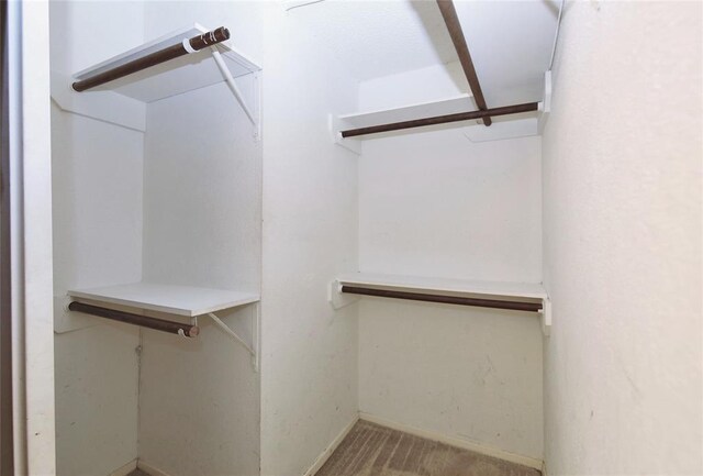 13002 Leader Unit 906, Houston, TX 77072 - spacious closet featuring carpet floors
