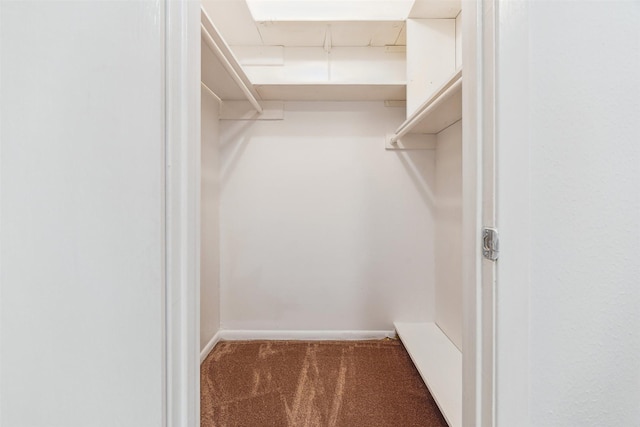 7539 Jason St, Houston, TX 77074 - walk in closet featuring carpet