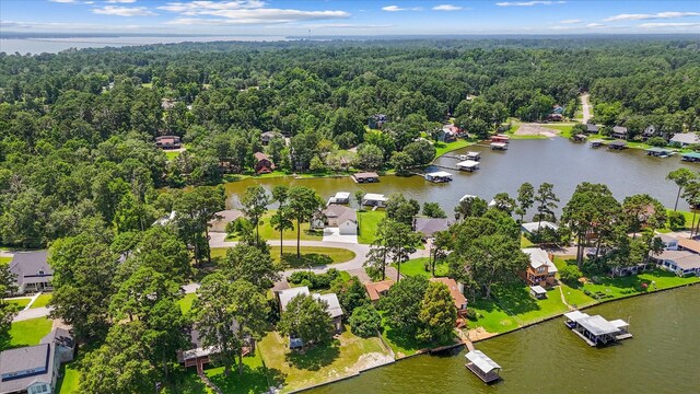 305 Twin Magnolia, Onalaska, TX 77360 - photo 3
