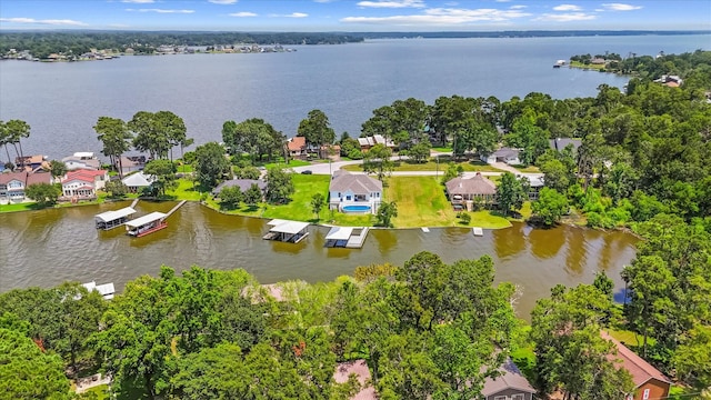 305 Twin Magnolia, Onalaska, TX 77360 - photo 49