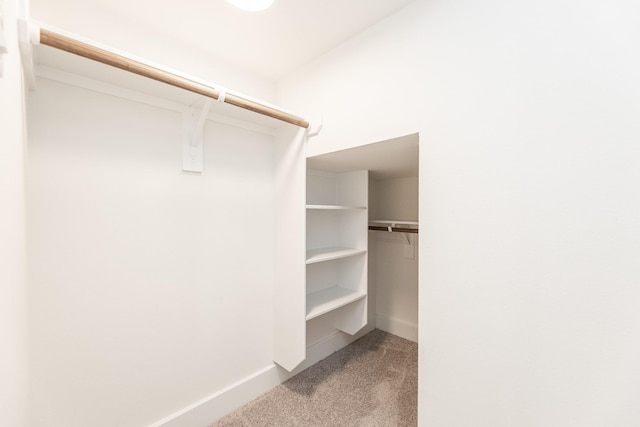 1615 Erin St, Houston, TX 77009 - walk in closet with carpet flooring