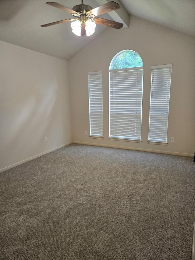 21701 Glenmont Blvd, Hockley, TX 77447 - photo 16