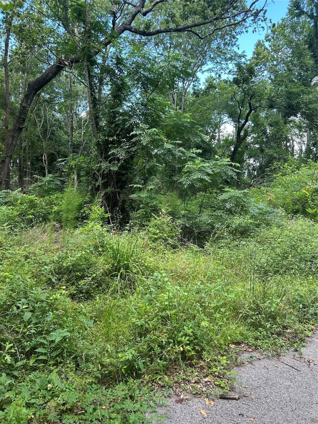 0 Wade Cir, Conroe, TX 77304