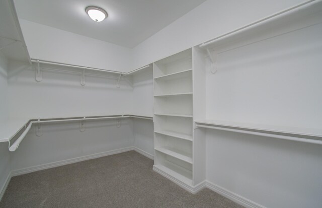 4202 Creek Ridge Ln, Missouri City, TX 77459 - photo 31