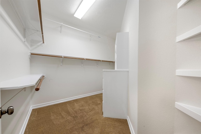 3207 W Benders Landing Blvd, Spring, TX 77386 - walk in closet featuring carpet flooring
