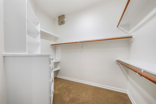 3207 W Benders Landing Blvd, Spring, TX 77386 - walk in closet with carpet flooring