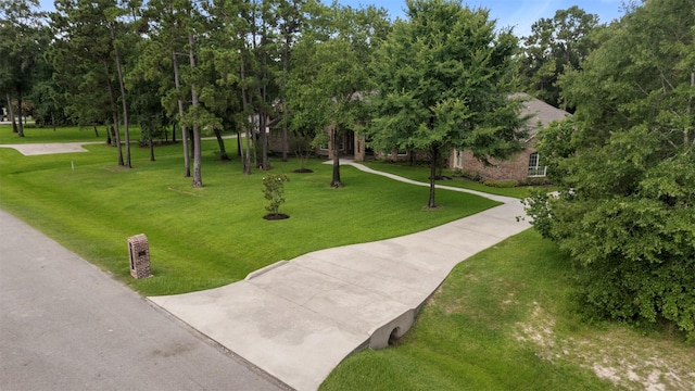 3207 W Benders Landing Blvd, Spring, TX 77386 - surrounding community with a lawn, view of wooded area, and driveway