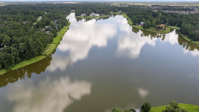 3207 W Benders Landing Blvd, Spring, TX 77386 - bird's eye view of a large body of water