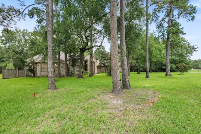 3207 W Benders Landing Blvd, Spring, TX 77386 - view of yard