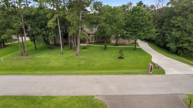 3207 W Benders Landing Blvd, Spring, TX 77386 - view of home's community featuring a lawn