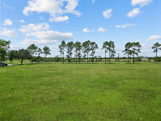 0000 County Road 65, Iowa Colony, TX 77583 - photo 5