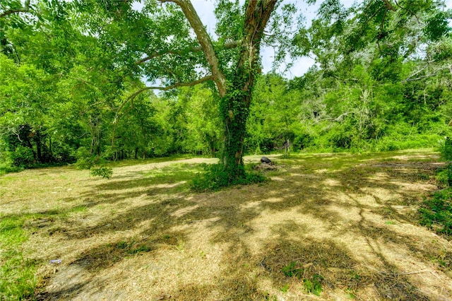 2109 County Road 353, Brazoria, TX 77422 - photo 19
