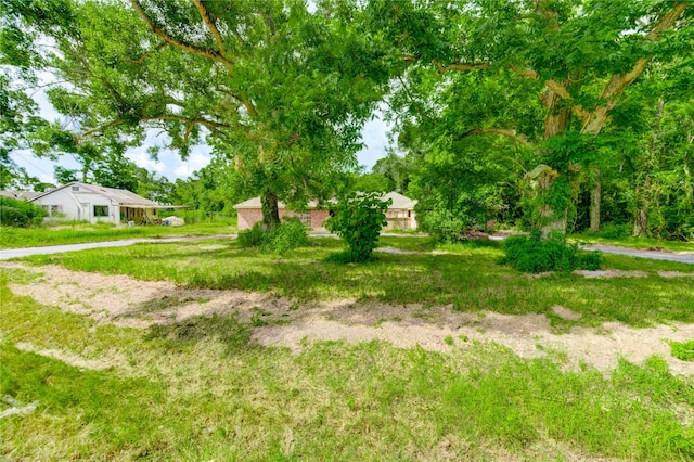2109 County Road 353, Brazoria, TX 77422 - photo 5