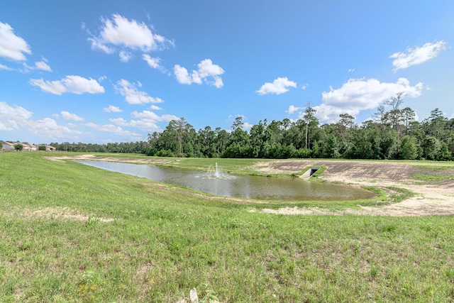 29474 Forest Floor Ln, Spring, TX 77386 - photo 49