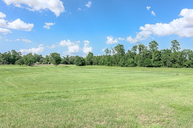 29474 Forest Floor Ln, Spring, TX 77386 - photo 50
