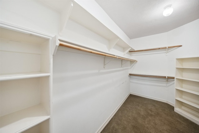 23 N Morning Cloud Cir, The Woodlands, TX 77381 - photo 15