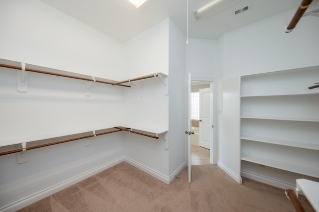 27907 Brandy Creek Ln, Fulshear, TX 77441 - walk in closet with light carpet